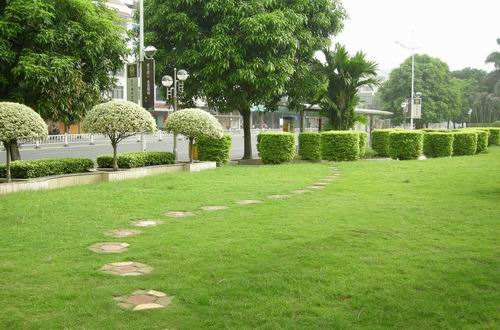 园林绿化中的草制品起到了什么作用?(图1)